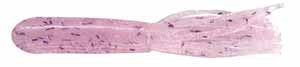 3.5" Small Jaws - 10 Pack - West Coast Killer
